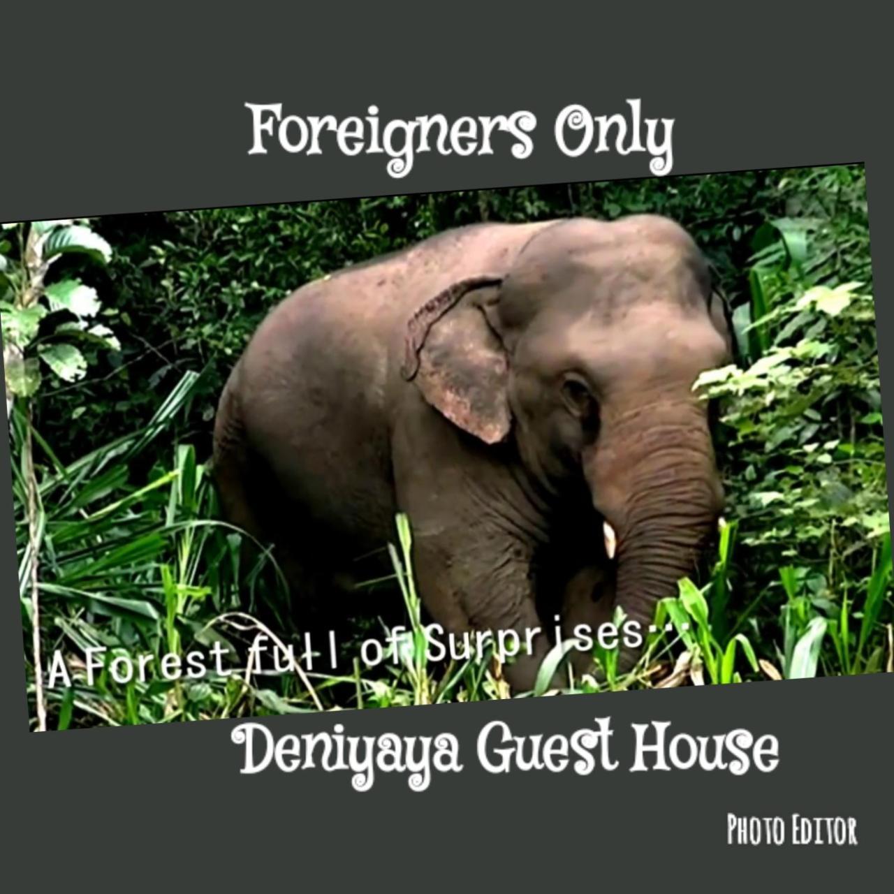 Deniyaya Guest House Екстериор снимка